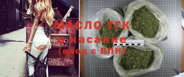 амф Снежногорск